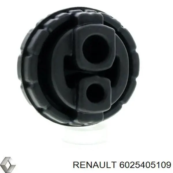 6025405109 Renault (RVI) 