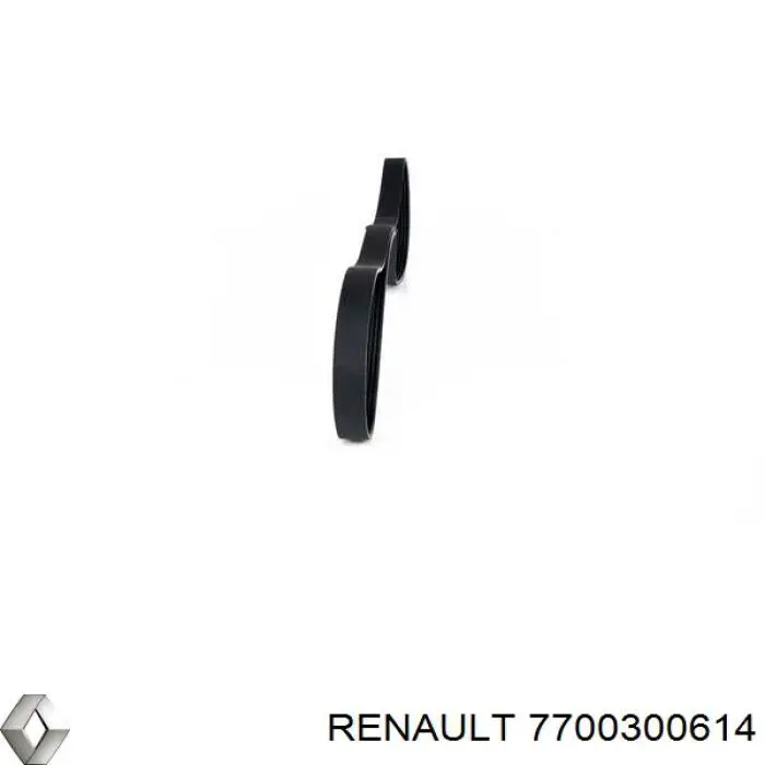 7700300614 Renault (RVI) correa trapezoidal