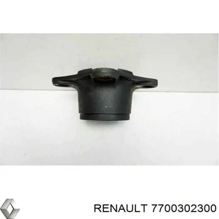 7700302300 Renault (RVI) cubo de rueda trasero