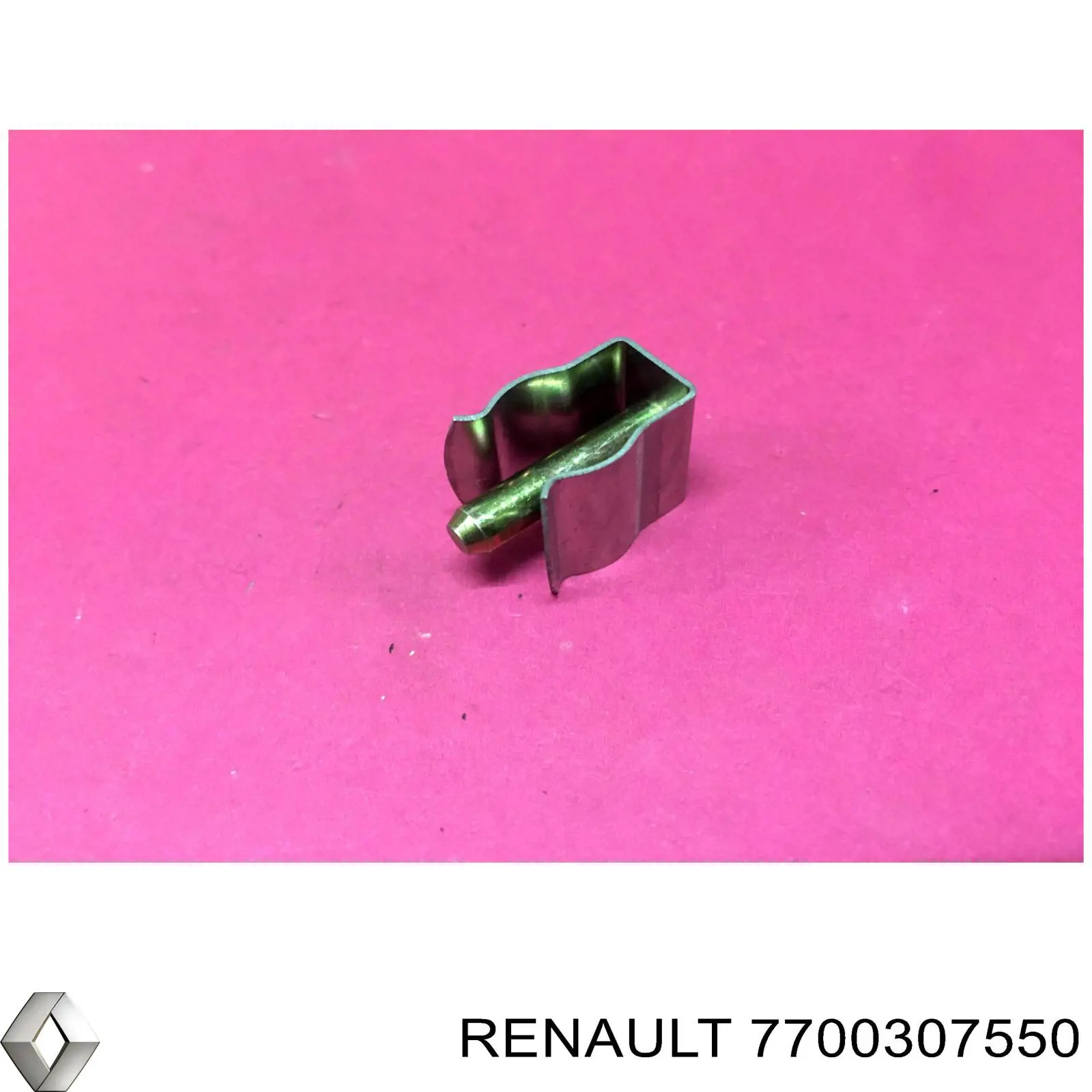 7700307550 Renault (RVI) 