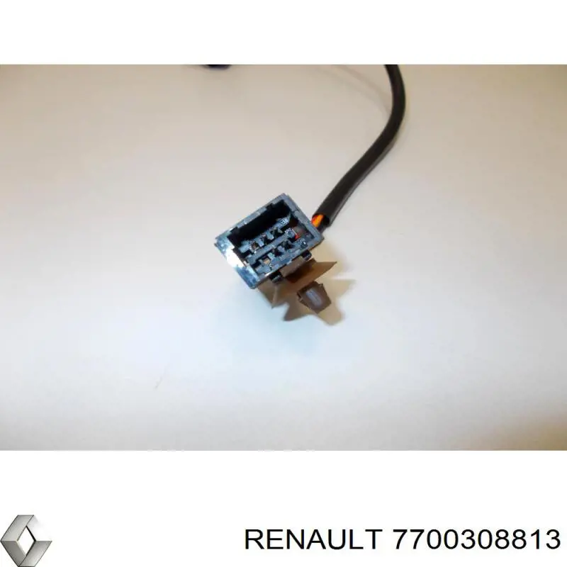 7700308813 Renault (RVI) 