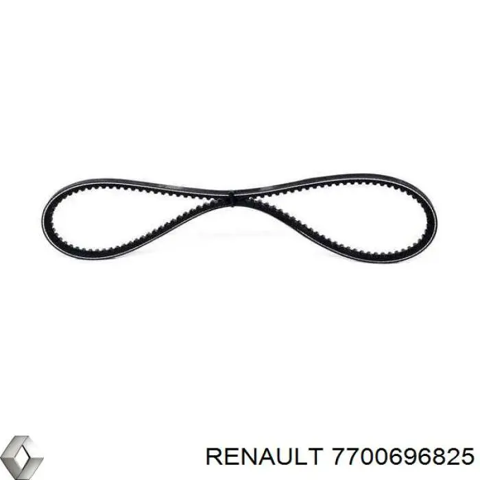 7700696825 Renault (RVI) correa trapezoidal