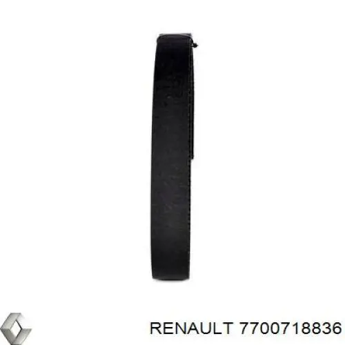 7700718836 Renault (RVI) correa distribucion