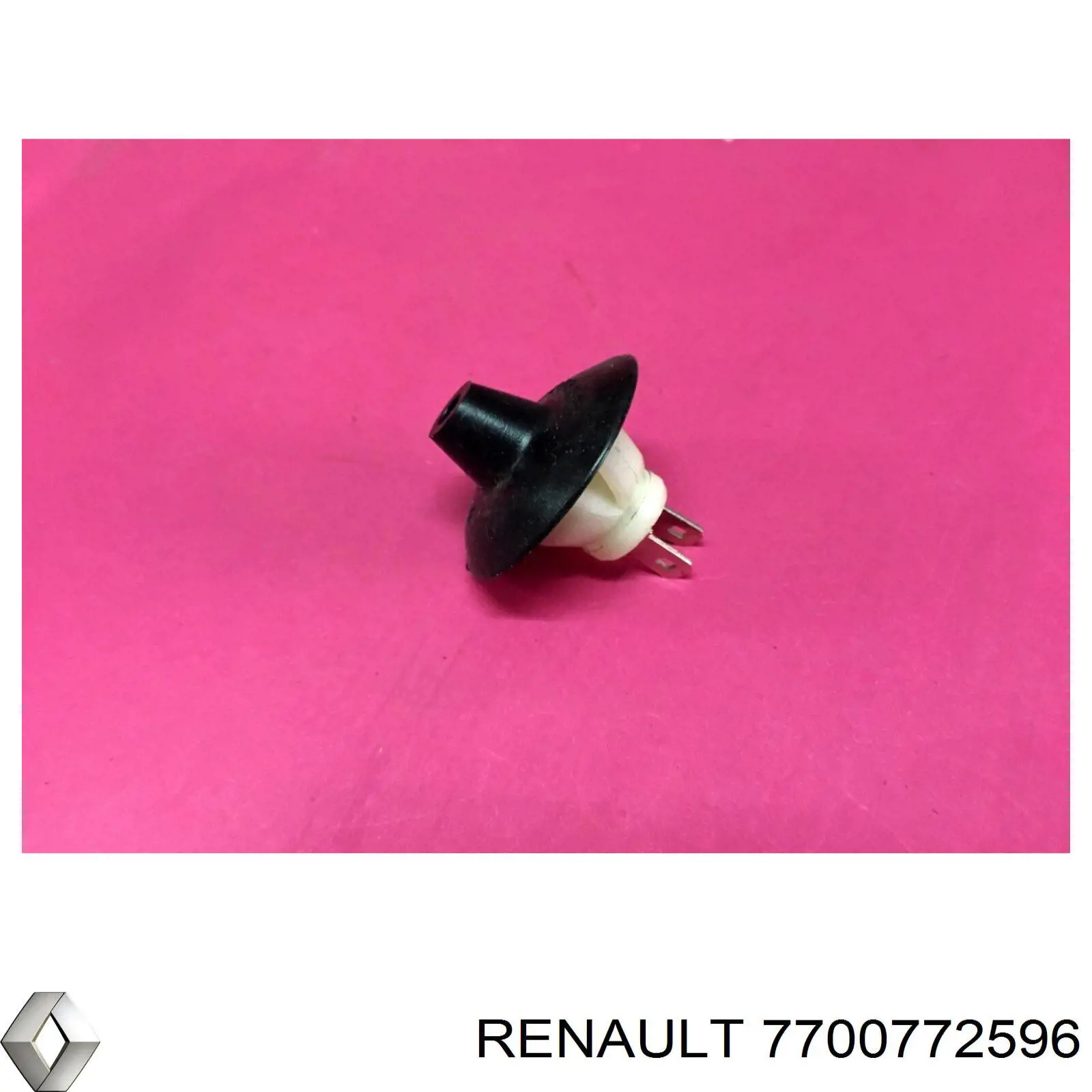 7700772596 Renault (RVI) 