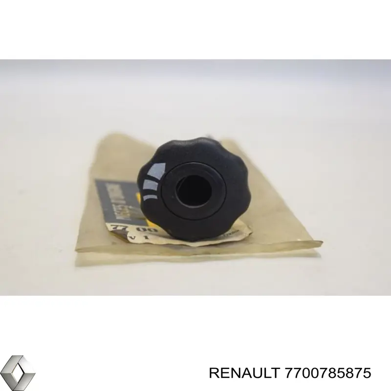 7700785875 Renault (RVI) 