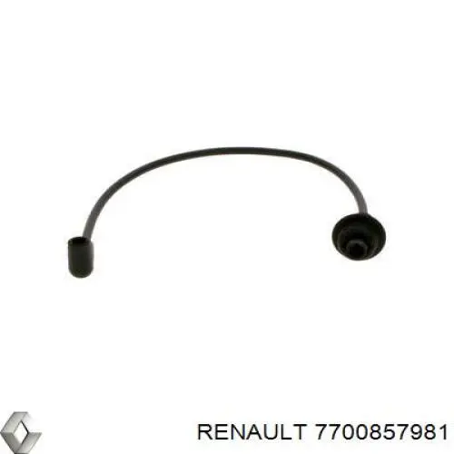 7700857981 Renault (RVI) 