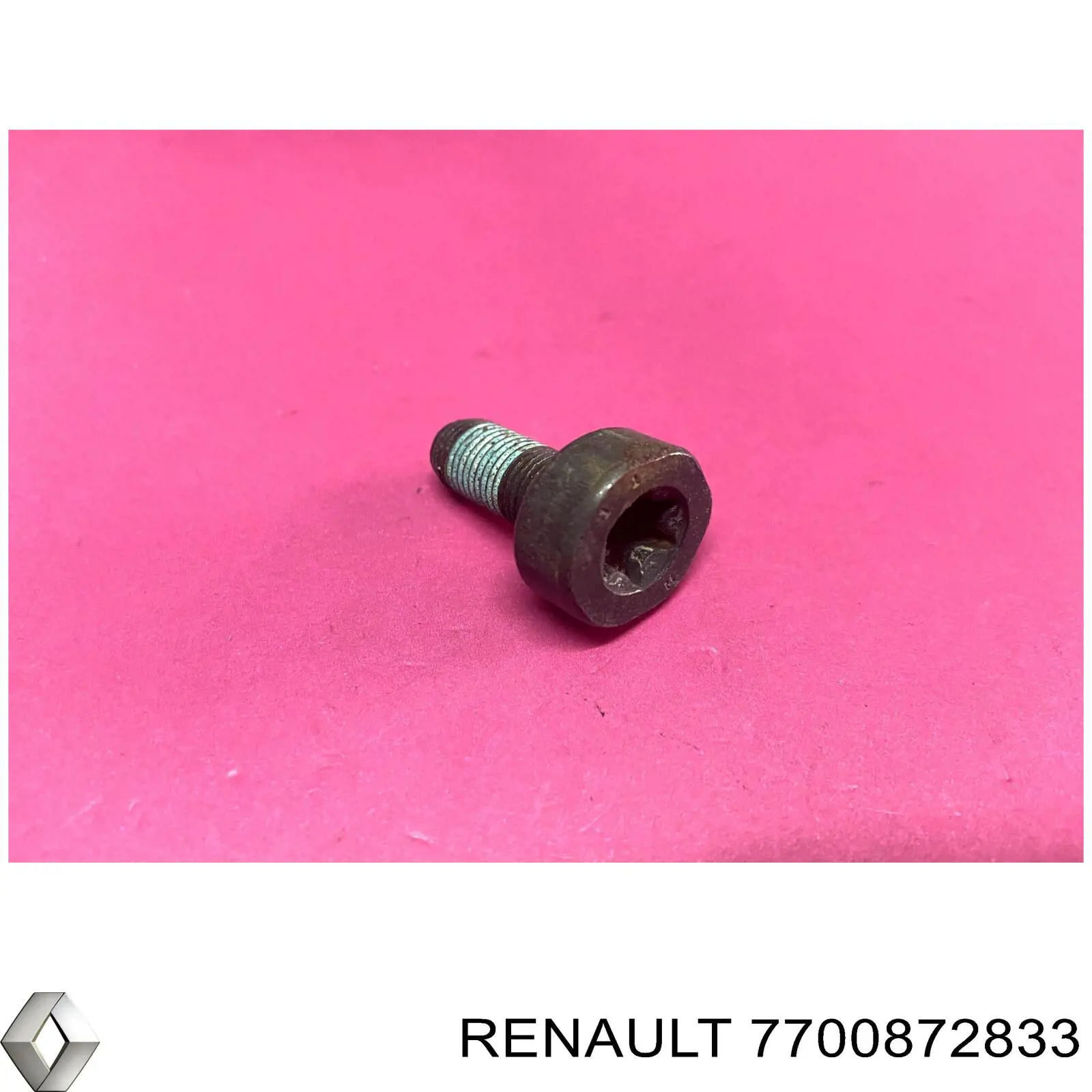 7700872833 Renault (RVI) 