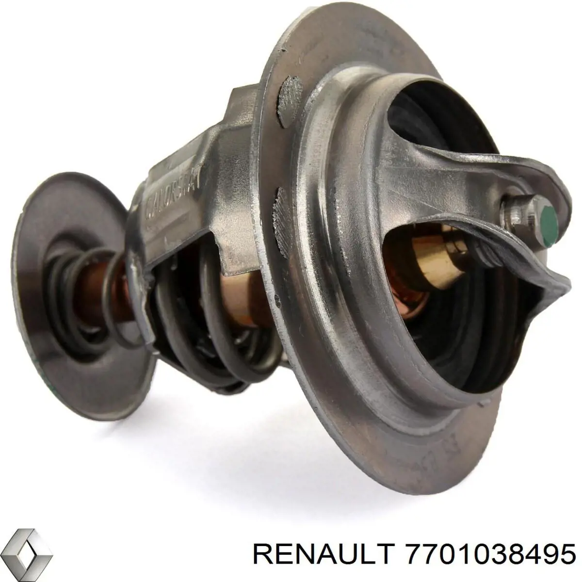 7701038495 Renault (RVI) 