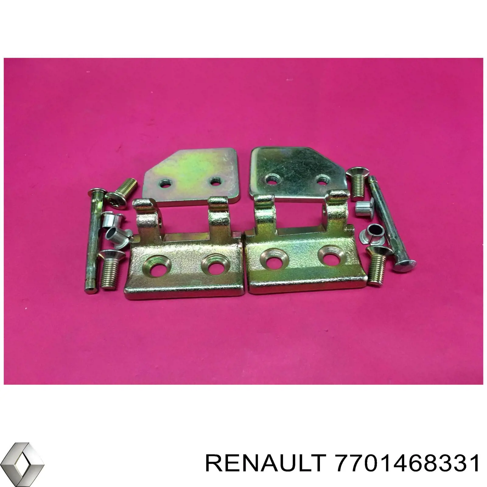  Bisagra de puerta delantera para Renault Scenic 1 