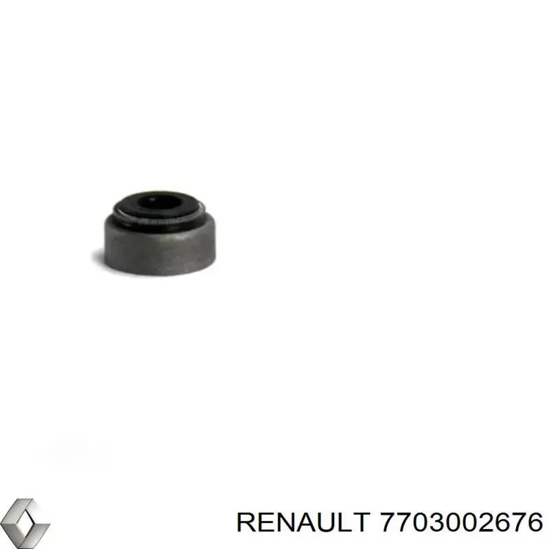 7703002676 Renault (RVI) 