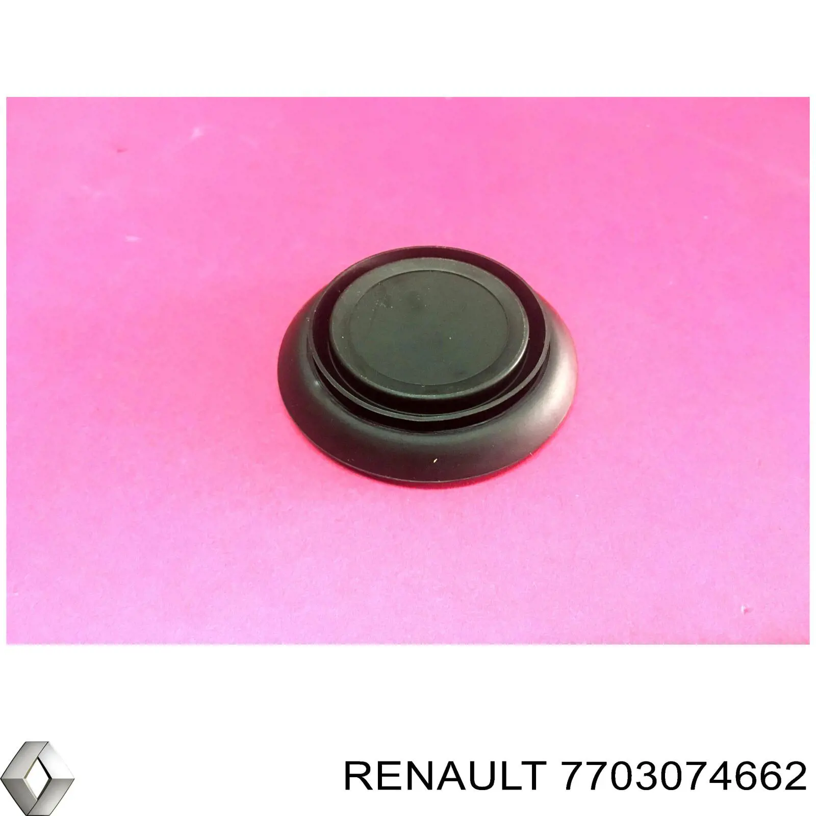 7703074662 Renault (RVI) 