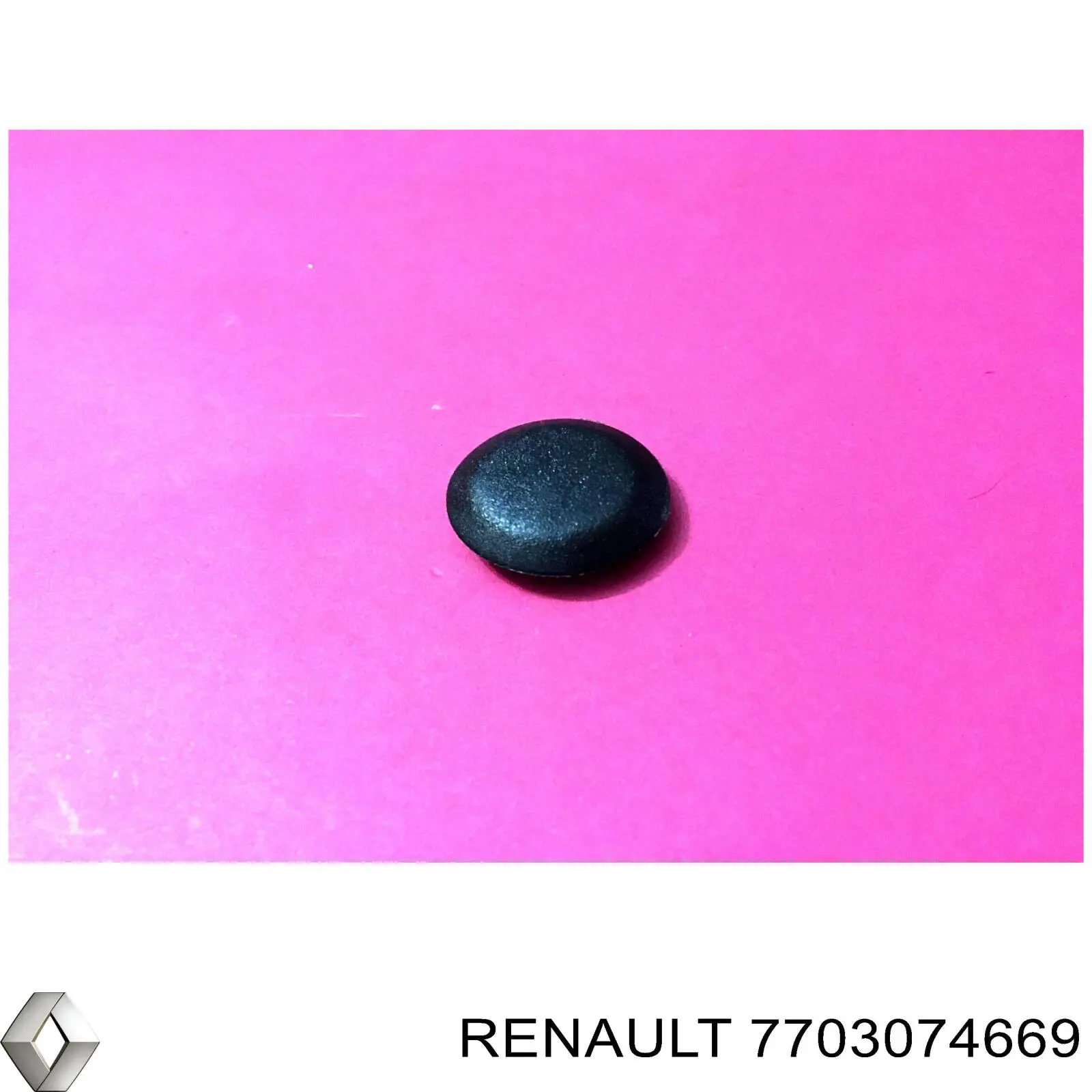 7703074650 Renault (RVI) 