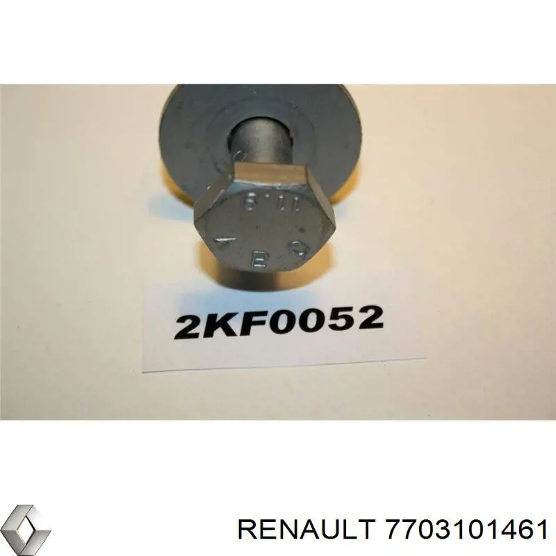 7703101461 Renault (RVI) 