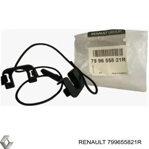 799655821R Renault (RVI) 