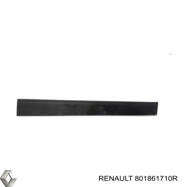  Moldura de la puerta delantera derecha para Renault LODGY 