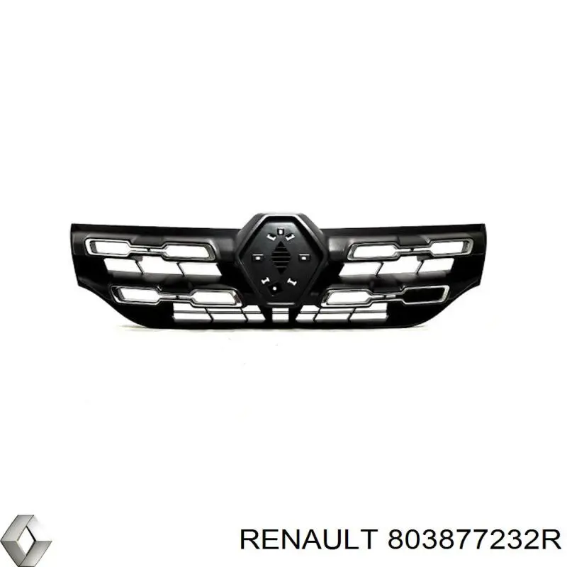 803877232R Renault (RVI) 