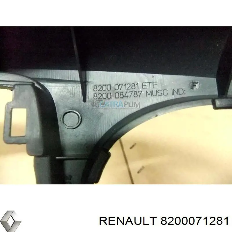 8200071281 Renault (RVI) consola central