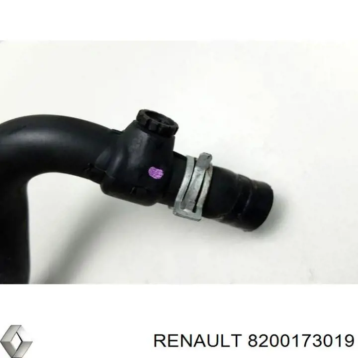  Tubería de radiador, alimentación para Renault Modus JP0