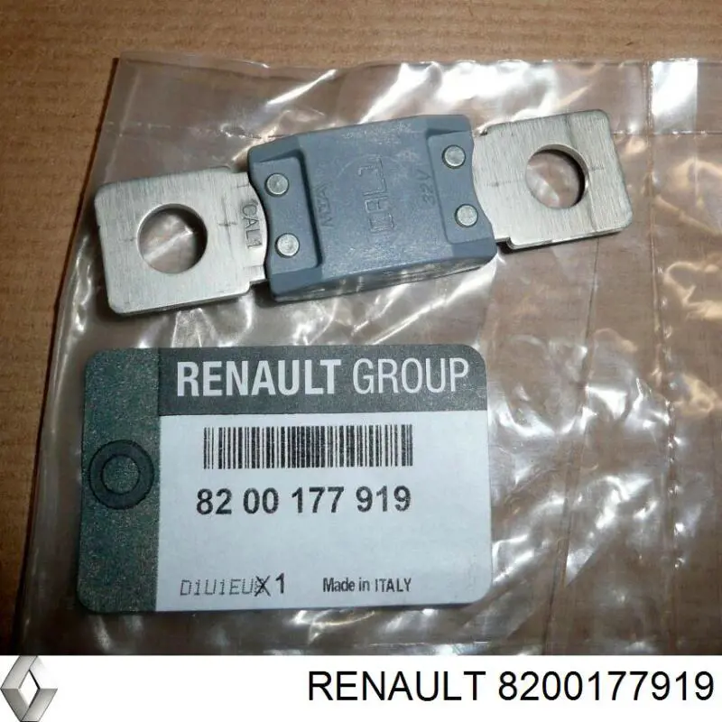 8200177919 Renault (RVI) fusible