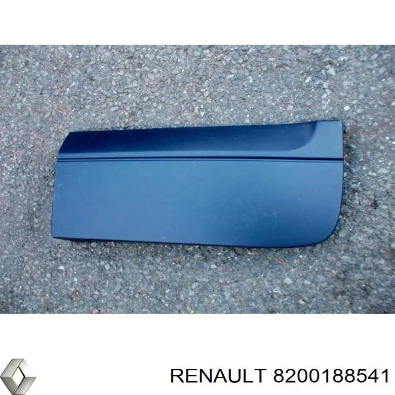 8200188541 Renault (RVI) moldura de la puerta trasera derecha