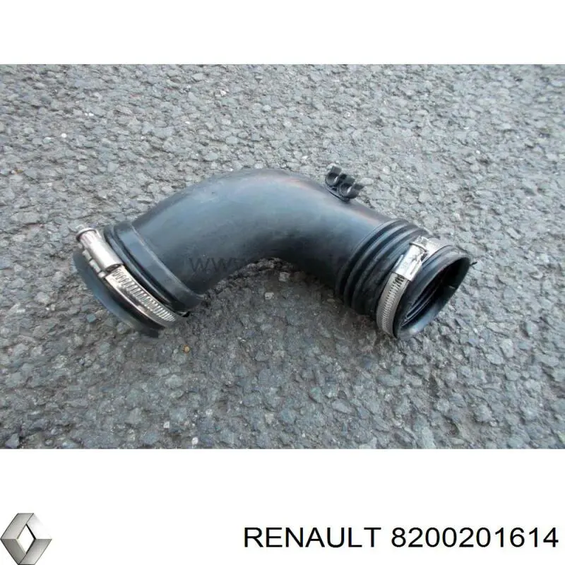  Manguito, alimentación de aire para Renault Megane 2 