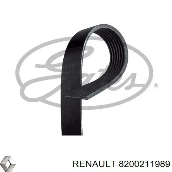 8200211989 Renault (RVI) correa trapezoidal