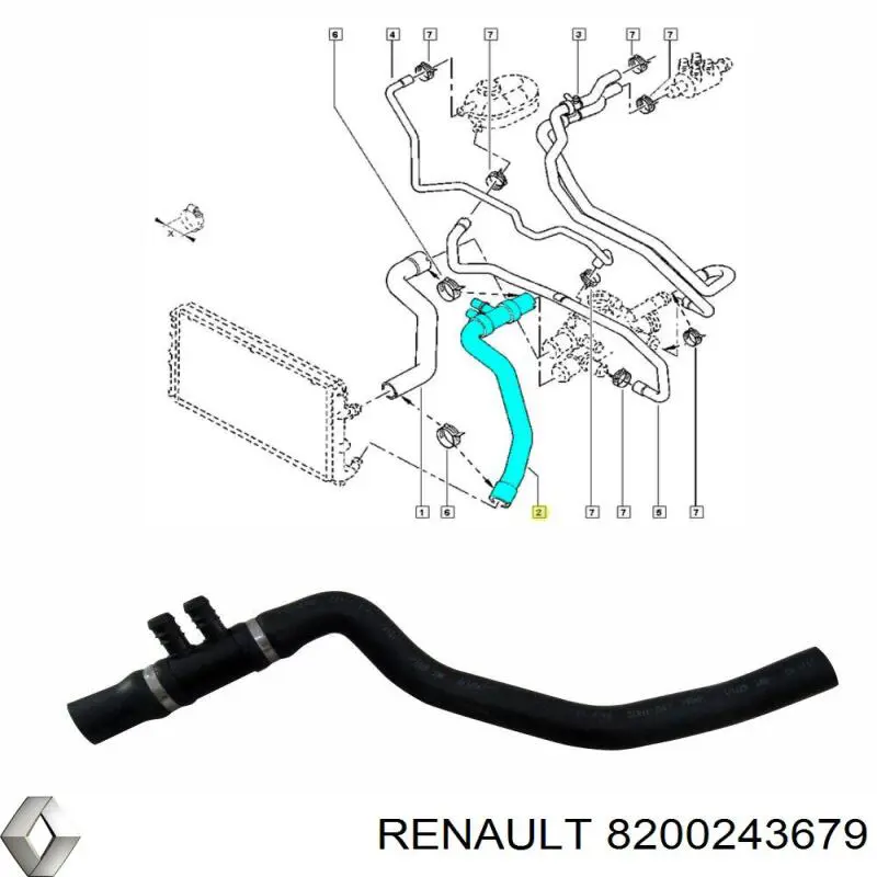 8200243679 Renault (RVI) manguera refrigerante para radiador inferiora