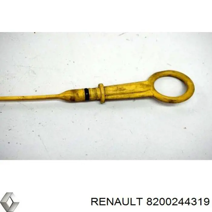 8200244319 Renault (RVI) varilla del nivel de aceite