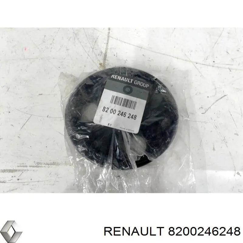 8200246248 Renault (RVI) polea, servobomba