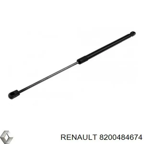 8200484674 Renault (RVI) 