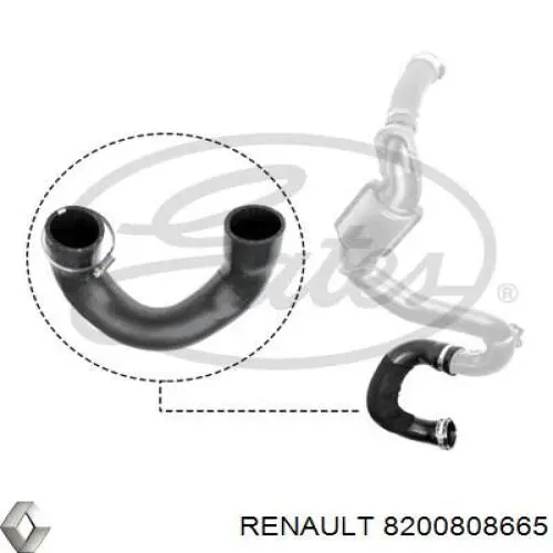 8200808665 Renault (RVI) tubo flexible de aire de sobrealimentación