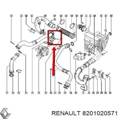 8201020571 Renault (RVI) tubo flexible de aire de sobrealimentación derecho