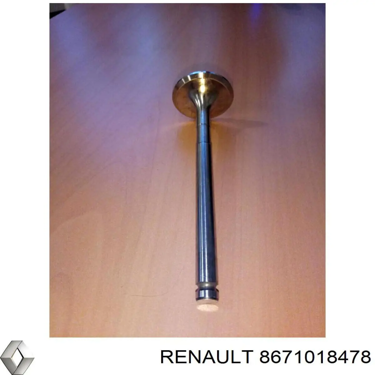 8671018478 Renault (RVI) correa distribucion