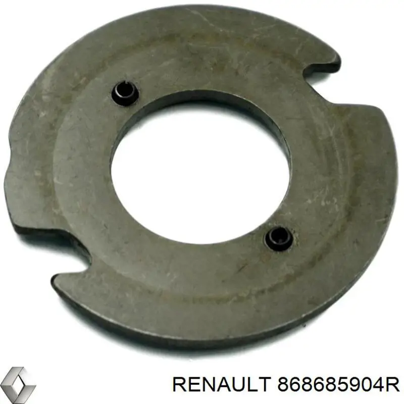 868685904R Renault (RVI) 