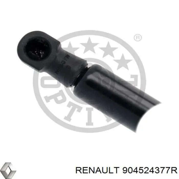 904524377R Renault (RVI) 