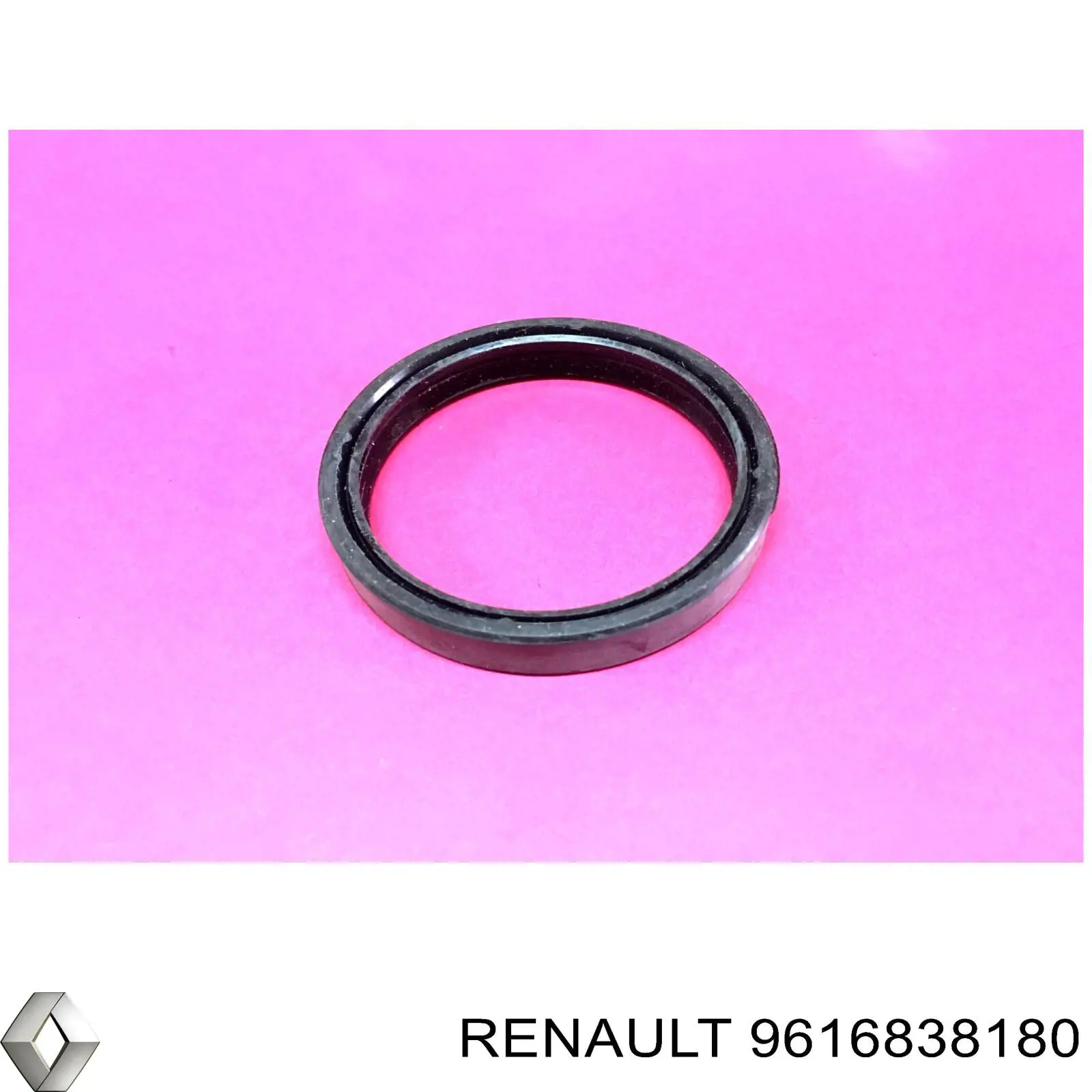 9616838180 Renault (RVI) 