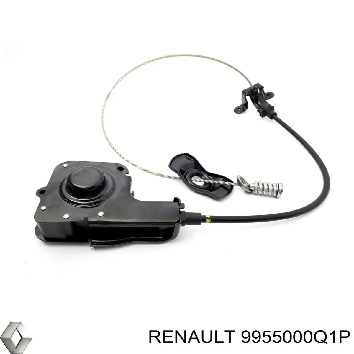 9955000Q1P Renault (RVI) 