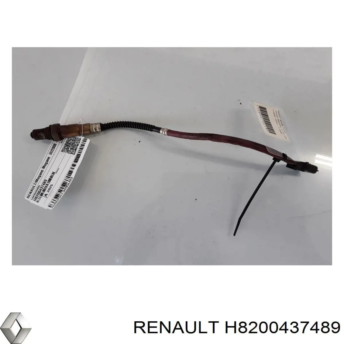 H8200437489 Renault (RVI) sonda lambda sensor de oxigeno para catalizador