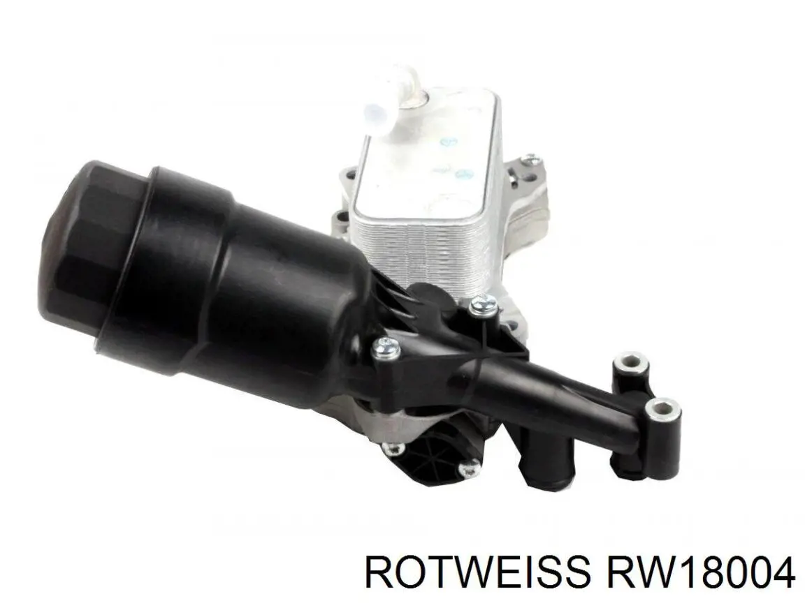 RW18004 Rotweiss caja, filtro de aceite