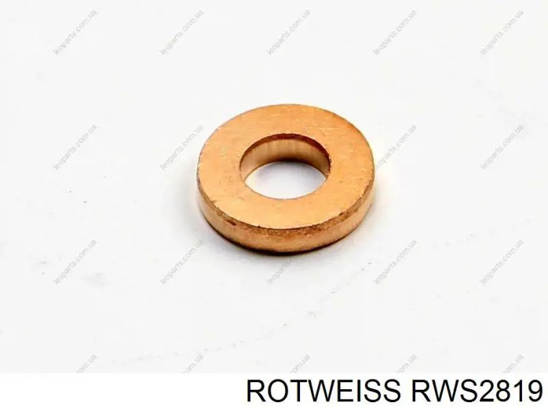 RWS2819 Rotweiss junta anular, inyector