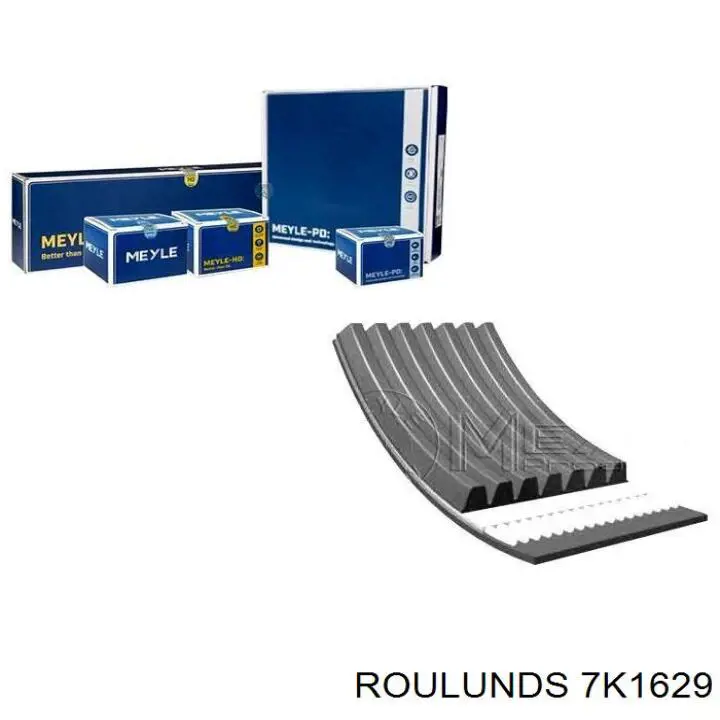 7K1629 Roulunds correa trapezoidal