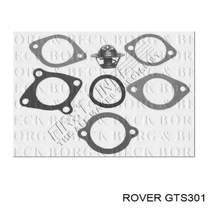 GTS301 Rover termostato, refrigerante