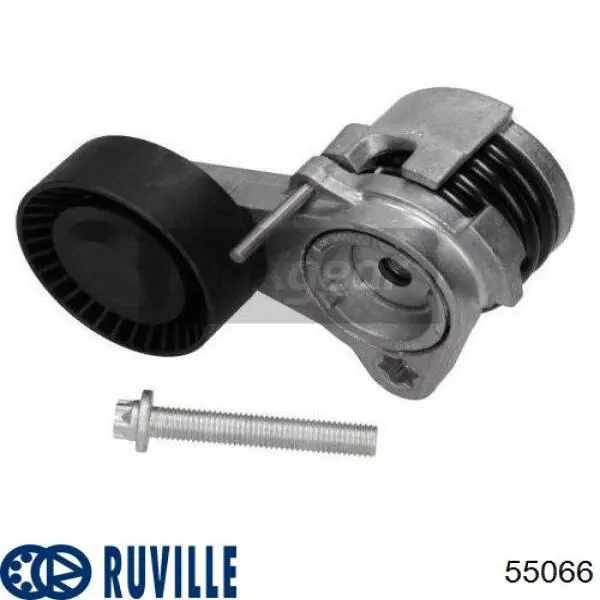 55066 Ruville tensor de correa, correa poli v