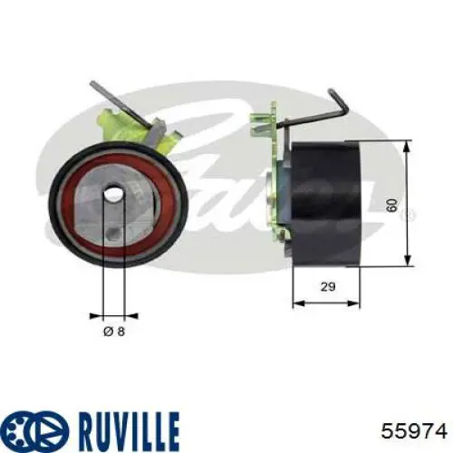 55974 Ruville rodillo, cadena de distribución