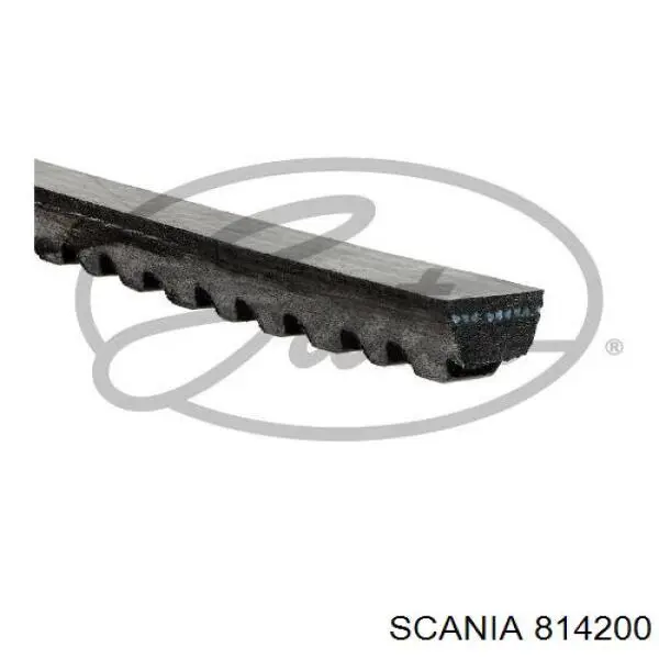 814200 Scania correa trapezoidal