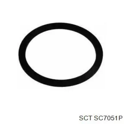 SC7051P SCT filtro combustible