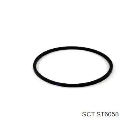 ST6058 SCT filtro combustible