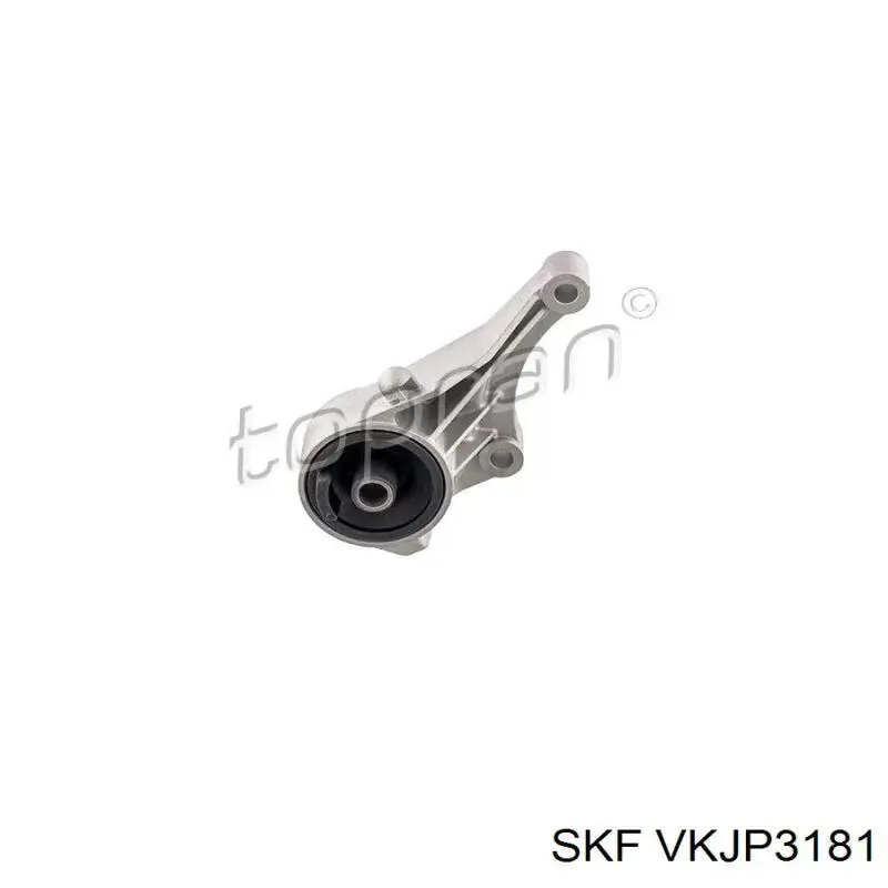 VKJP3181 SKF fuelle, árbol de transmisión delantero exterior