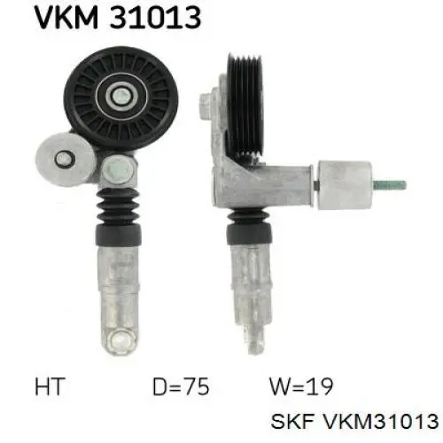 VKM 31013 SKF tensor de correa, correa poli v