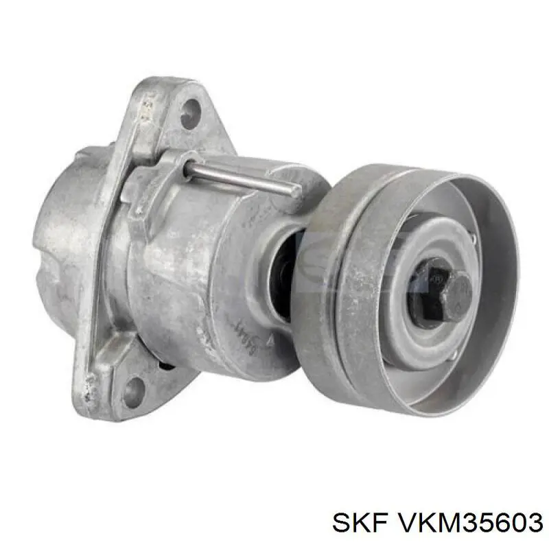 VKM35603 SKF tensor de correa, correa poli v